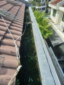 Roof Gutter Cleaning