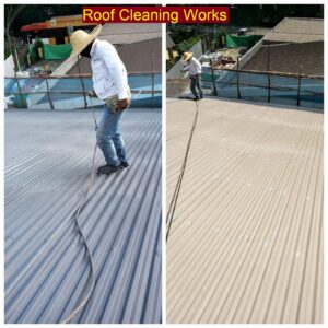 Roof cleaning works contractor