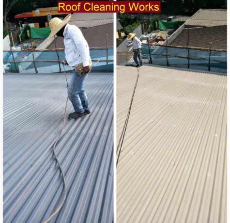Roof cleaning works contractor