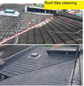 Roof-tiles-cleaning