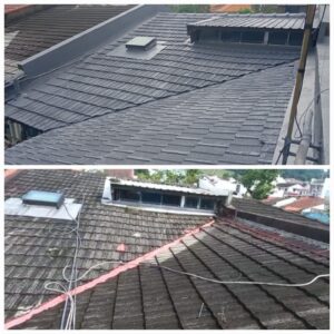 Roof-tiles-coating